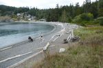 PICTURES/Deception Pass Bridge/t_Cove3.JPG